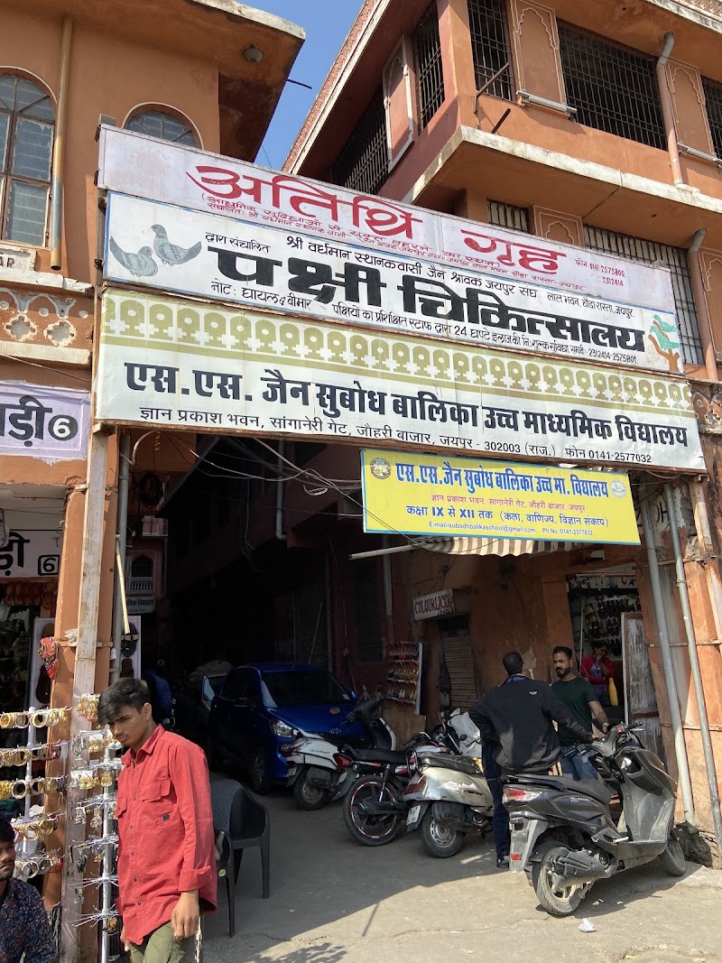 Bird Hospital