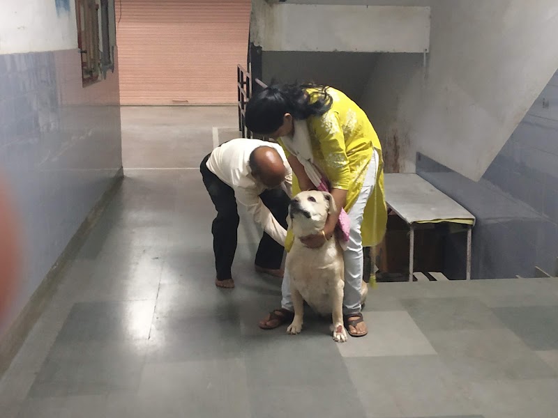 Pet Care and Dog Clinic